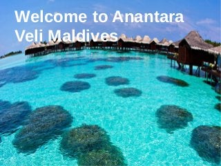 Welcome to Anantara
Veli Maldives
 