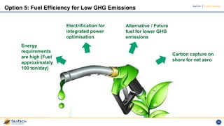 GREEN DEEP SEA MINING – MOVING AHEAD WITH PRECAUTION | PDF