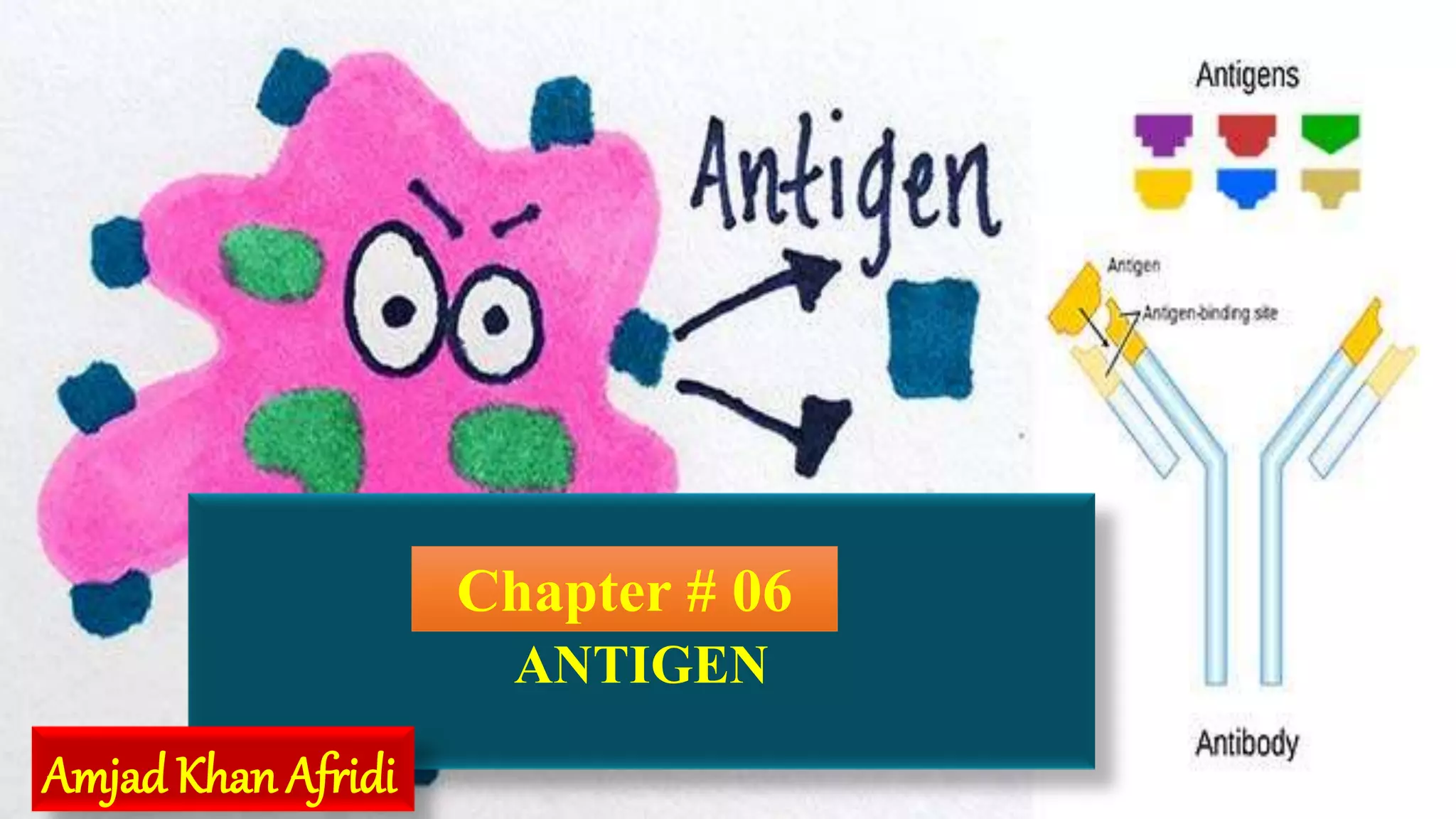 Introduction to antigen PPT