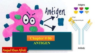 ANTIGEN
Chapter # 06
Amjad Khan Afridi
 