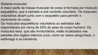 Sistema muscular.
A maior parte da massa muscular do corpo é formada por músculo
esquelético, que é estriado e sob controle voluntário. Os músculos
voluntários atuam junto com o esqueleto para permitir o
movimento do corpo.
Os músculos esqueléticos voluntários ou estriados são
responsáveis por cerca de 43% do peso do corpo humano. Os
músculos lisos, que são involuntários, estão localizados nas
paredes dos órgãos internos ocos, como os vasos sanguíneos, o
estômago e os intestinos.
 