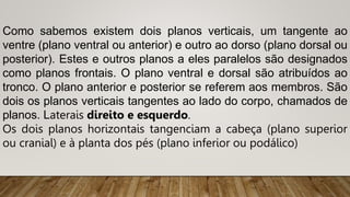 Como sabemos existem dois planos verticais, um tangente ao
ventre (plano ventral ou anterior) e outro ao dorso (plano dorsal ou
posterior). Estes e outros planos a eles paralelos são designados
como planos frontais. O plano ventral e dorsal são atribuídos ao
tronco. O plano anterior e posterior se referem aos membros. São
dois os planos verticais tangentes ao lado do corpo, chamados de
planos. Laterais direito e esquerdo.
Os dois planos horizontais tangenciam a cabeça (plano superior
ou cranial) e à planta dos pés (plano inferior ou podálico)
 