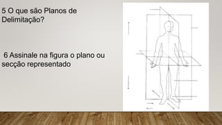 5 O que são Planos de
Delimitação?
6 Assinale na figura o plano ou
secção representado
 
