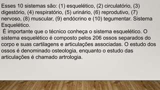 Esses 10 sistemas são: (1) esquelético, (2) circulatório, (3)
digestório, (4) respiratório, (5) urinário, (6) reprodutivo, (7)
nervoso, (8) muscular, (9) endócrino e (10) tegumentar. Sistema
Esquelético.
É importante que o técnico conheça o sistema esquelético. O
sistema esquelético é composto pelos 206 ossos separados do
corpo e suas cartilagens e articulações associadas. O estudo dos
ossos é denominado osteologia, enquanto o estudo das
articulações é chamado artrologia.
 