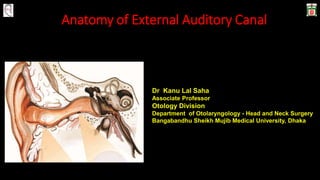 Anatomy of External Auditory Canal
Dr Kanu Lal Saha
Associate Professor
Otology Division
Department of Otolaryngology - Head and Neck Surgery
Bangabandhu Sheikh Mujib Medical University, Dhaka
 