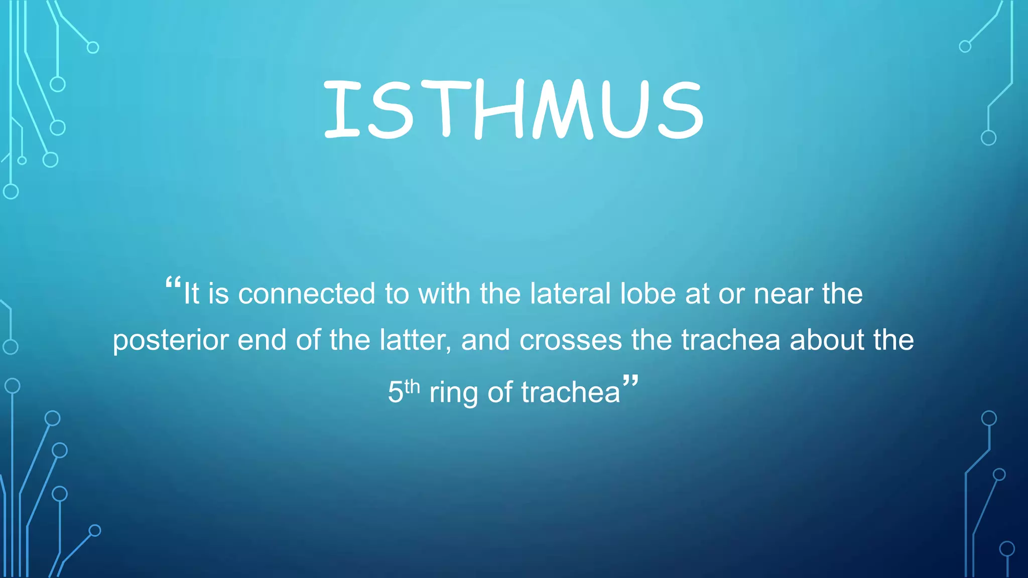 ISTHMUS
“It is connected to with the lateral lobe at or near the
posterior end of the latter, and crosses the trachea about the
5th ring of trachea”
 