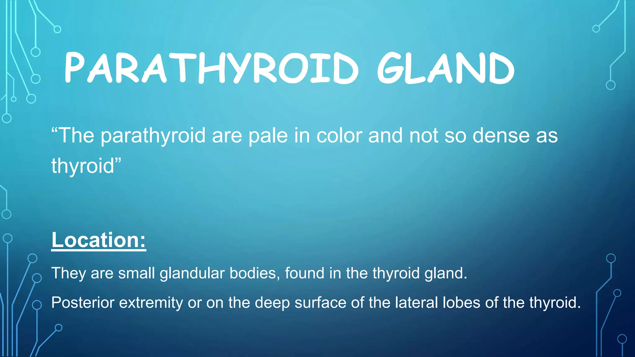 PARATHYROID GLAND
“The parathyroid are pale in color and not so dense as
thyroid”
Location:
They are small glandular bodies, found in the thyroid gland.
Posterior extremity or on the deep surface of the lateral lobes of the thyroid.
 