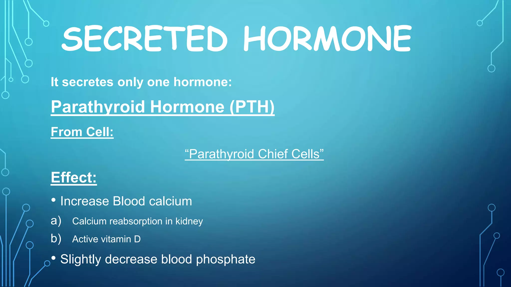 SECRETED HORMONE
It secretes only one hormone:
Parathyroid Hormone (PTH)
From Cell:
“Parathyroid Chief Cells”
Effect:
• Increase Blood calcium
a) Calcium reabsorption in kidney
b) Active vitamin D
• Slightly decrease blood phosphate
 
