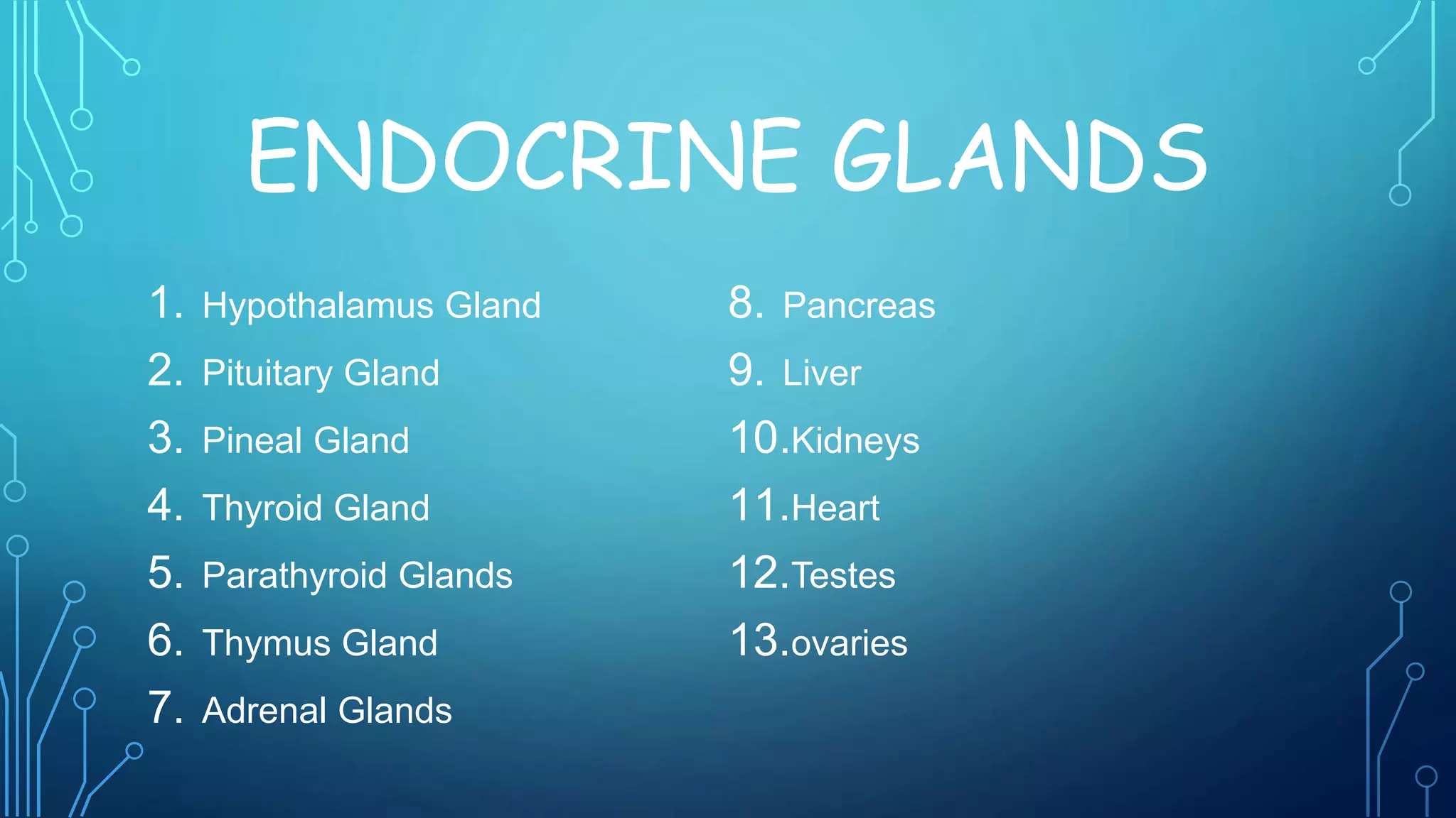 ENDOCRINE GLANDS
1. Hypothalamus Gland
2. Pituitary Gland
3. Pineal Gland
4. Thyroid Gland
5. Parathyroid Glands
6. Thymus Gland
7. Adrenal Glands
8. Pancreas
9. Liver
10.Kidneys
11.Heart
12.Testes
13.ovaries
 