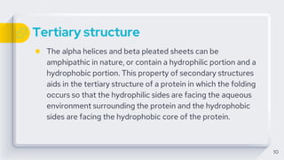 Tertiary structure
● The alpha helices and beta pleated sheets can be
amphipathic in nature, or contain a hydrophilic portion and a
hydrophobic portion. This property of secondary structures
aids in the tertiary structure of a protein in which the folding
occurs so that the hydrophilic sides are facing the aqueous
environment surrounding the protein and the hydrophobic
sides are facing the hydrophobic core of the protein.
10
 