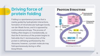 Driving force of
protein folding
Folding is a spontaneous process that is
mainly guided by hydrophobic interactions,
formation of intramolecular hydrogen bonds,
van der Waals forces, and it is opposed by
conformational entropy. The process of
folding often begins co-translationally, so
that the N-terminus of the protein begins to
fold while the C-terminal portion of the
protein is still being synthesized by the
ribosome; however, a protein molecule may
fold spontaneously during or after
biosynthesis.
12
 