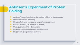 Anfinsen's Experiment of Protein
Folding
● Anfinsen’s experiment describe protein folding by two process:
● Denaturation and Refolding
● He uses following compound for preform experiment
● Ribonuclease A (124 amino acid residue)
● Urea, guanidine HCl - denaturants
● β-mercaptoethanol - breaks disulfide bonds
● He perform 3 experiment as follow;
13
 