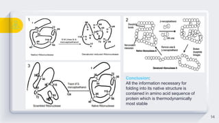 14
1 2
3
Conclusion:
All the information necessary for
folding into its native structure is
contained in amino acid sequence of
protein which is thermodynamically
most stable
 