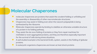 Molecular Chaperones
● molecular chaperones are proteins that assist the covalent folding or unfolding and
the assembly or disassembly of other macromolecular structures.
● Chaperones may assist in folding even when the nascent polypeptide is being
synthesized by the ribosome.
● Molecular chaperones operate by binding to stabilize an otherwise unstable structure
of a protein in its folding pathway,
● They assist the de novo folding of proteins or they form repair machines for
misfolded or even aggregated proteins, and they are therefore especially important
for the survival of cells during stress situations.
● A well studied example is the bacterial GroEL system, assists in the folding of globular
proteins.
● In eukaryotic organisms chaperones are known as heat shock proteins
15
 