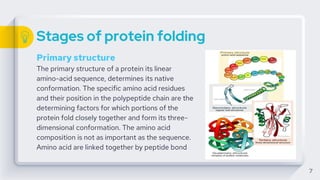 Stages of protein folding
Primary structure
The primary structure of a protein its linear
amino-acid sequence, determines its native
conformation. The specific amino acid residues
and their position in the polypeptide chain are the
determining factors for which portions of the
protein fold closely together and form its three-
dimensional conformation. The amino acid
composition is not as important as the sequence.
Amino acid are linked together by peptide bond
7
 