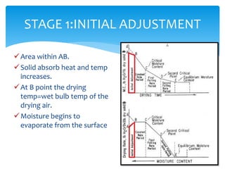 Area within AB.
Solid absorb heat and temp
increases.
At B point the drying
temp=wet bulb temp of the
drying air.
Moisture begins to
evaporate from the surface
STAGE 1:INITIAL ADJUSTMENT
 