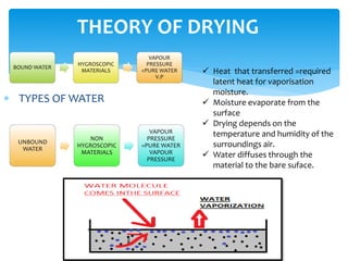 PHARMACEUTICAL DRYING | PPTX