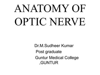 ANATOMY OF
OPTIC NERVE
Dr.M.Sudheer Kumar
Post graduate
Guntur Medical College
,GUNTUR
 