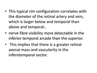 Peripheric Rim Location Anatomy of optic nerve | PPTX