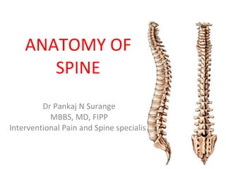 ANATOMY OF SPINE Dr Pankaj N Surange MBBS, MD, FIPP Interventional Pain and Spine specialist 