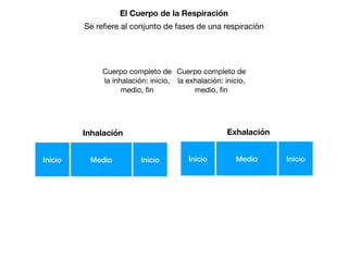 Cuerpo completo de
la inhalación: inicio,
medio, ﬁn
Cuerpo completo de
la exhalación: inicio,
medio, ﬁn
Inicio Medio Inicio
Inhalación
Inicio Medio Inicio
Exhalación
El Cuerpo de la Respiración
Se reﬁere al conjunto de fases de una respiración
 