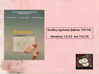 Σελίδες ζτολικού βιβλίοσ 115-118.

  Αζκήζεις 1,2,3,5 ζελ.115,116




                                 13
 