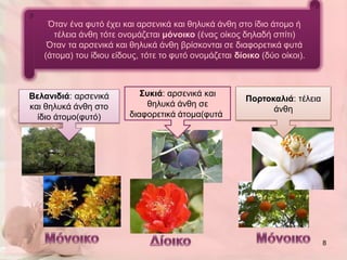 Όηαλ έλα θπηό έρεη θαη αξζεληθά θαη ζειπθά άλζε ζην ίδην άηνκν ή
      ηέιεηα άλζε ηόηε νλνκάδεηαη μόνοικο (έλαο νίθνο δειαδή ζπίηη)
    Όηαλ ηα αξζεληθά θαη ζειπθά άλζε βξίζθνληαη ζε δηαθνξεηηθά θπηά
   (άηνκα) ηνπ ίδηνπ είδνπο, ηόηε ην θπηό νλνκάδεηαη δίοικο (δύν νίθνη).



Βελανιδιά: αξζεληθά         Σσκιά: αξζεληθά θαη
                                                        Πορηοκαλιά: ηέιεηα
θαη ζειπθά άλζε ζην          ζειπθά άλζε ζε
                                                              άλζε
  ίδην άηνκν(θπηό)       δηαθνξεηηθά άηνκα(θπηά)




                                                                             8
 