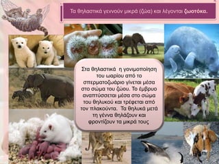 Τα ζειαζηηθά γελλνύλ κηθξά (δώα) θαη ιέγνληαη δωνηόθα.




    Σηα ζειαζηηθά ε γνληκνπνίεζε
           ηνπ σαξίνπ από ην
     ζπεξκαηνδσάξην γίλεηαη κέζα
    ζην ζώκα ηνπ δώνπ. Τν έκβξπν
     αλαπηύζζεηαη κέζα ζην ζώκα
     ηνπ ζειπθνύ θαη ηξέθεηαη από
    ηνλ πιαθνύληα. Τα ζειπθά κεηά
         ηε γέλλα ζειάδνπλ θαη
       θξνληίδνπλ ηα κηθξά ηνπο.




                                                   13
 