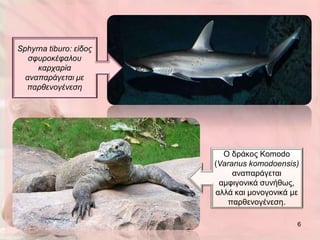Sphyrna tiburo: είδος
   ζθσροκέθαλοσ
     καρταρία
  αναπαράγεηαι με
  παρθενογένεζη




                          Ο δξάθνο Komodo
                        (Varanus komodoensis)
                             αλαπαξάγεηαη
                         ακθηγνληθά ζπλήζσο,
                        αιιά θαη κνλνγνληθά κε
                           παξζελνγέλεζε.

                                             6
 