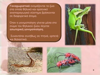 Γνλνρωξηζηηθά νλνκάδνληαη ηα δώα
ζηα νπνία ζήιπθό θαη αξζεληθό
αλαπαξαγσγηθό ζύζηεκα βξίζθνληαη
ζε δηαθνξεηηθά άηνκα.

Όηαλ ε γνληκνπνίεζε γίλεηαη κέζα ζην
ζώκα ηνπ ζειπθνύ δώνπ ιέγεηαη
εζωηεξηθή γνληκνπνίεζε.

 Σπλαληάηαη ζπλήζσο ζε πηελά, εξπεηά
θαη ζειαζηηθά.




                                       9
 