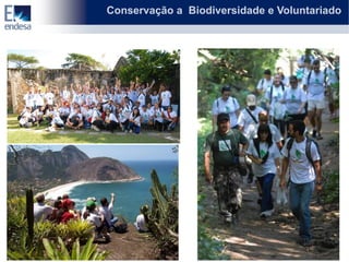 Conservação a Biodiversidade e Voluntariado
 