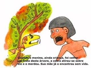 Quando o menino, ainda criança, foi colher
um fruto desta árvore, a cobra atirou-se sobre
ele e o mordeu. Sua mãe já o encontrou sem vida.
 