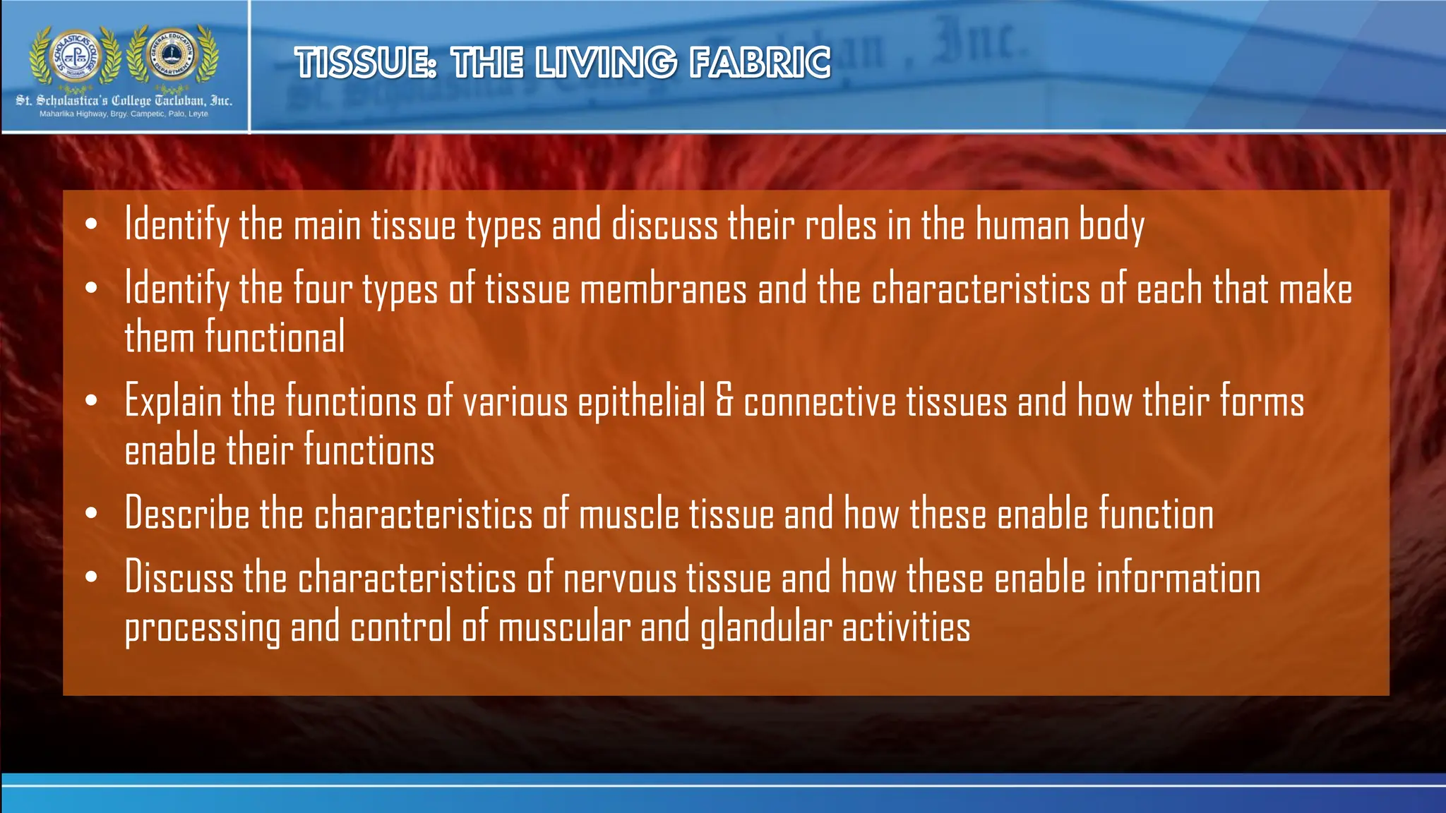 ANATOMY AND PHYSIOLOGY HUMAN HISTOLOGY: CELLS, TISSUES | PDF