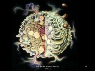 11Prof. DR.Dr.Ariyanto Harsono
SpA(K)
 