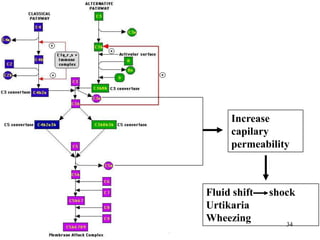 Prof. DR.Dr.Ariyanto Harsono
SpA(K)
34
Increase
capilary
permeability
Fluid shift shock
Urtikaria
Wheezing
 