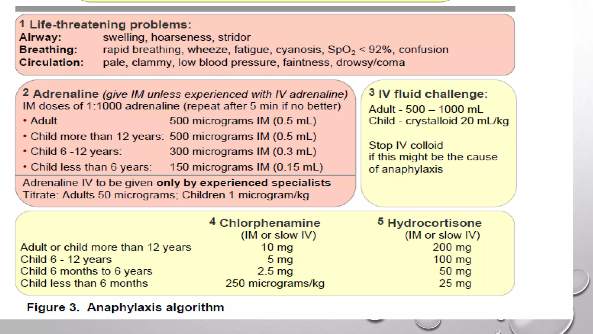 Anaphylactic shock | PPTX