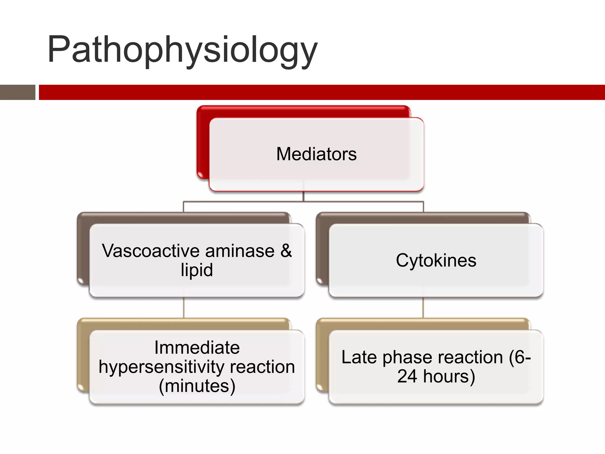 Pathophysiology

                        Mediators




   Vascoactive aminase &
                                     Cytokines
            lipid



        Immediate
                               Late phase reaction (6-
  hypersensitivity reaction
                                     24 hours)
         (minutes)
 