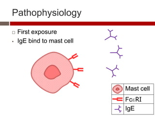 Pathophysiology
   First exposure
   IgE bind to mast cell




                            Mast cell
                            FcɛRI
                            IgE
 