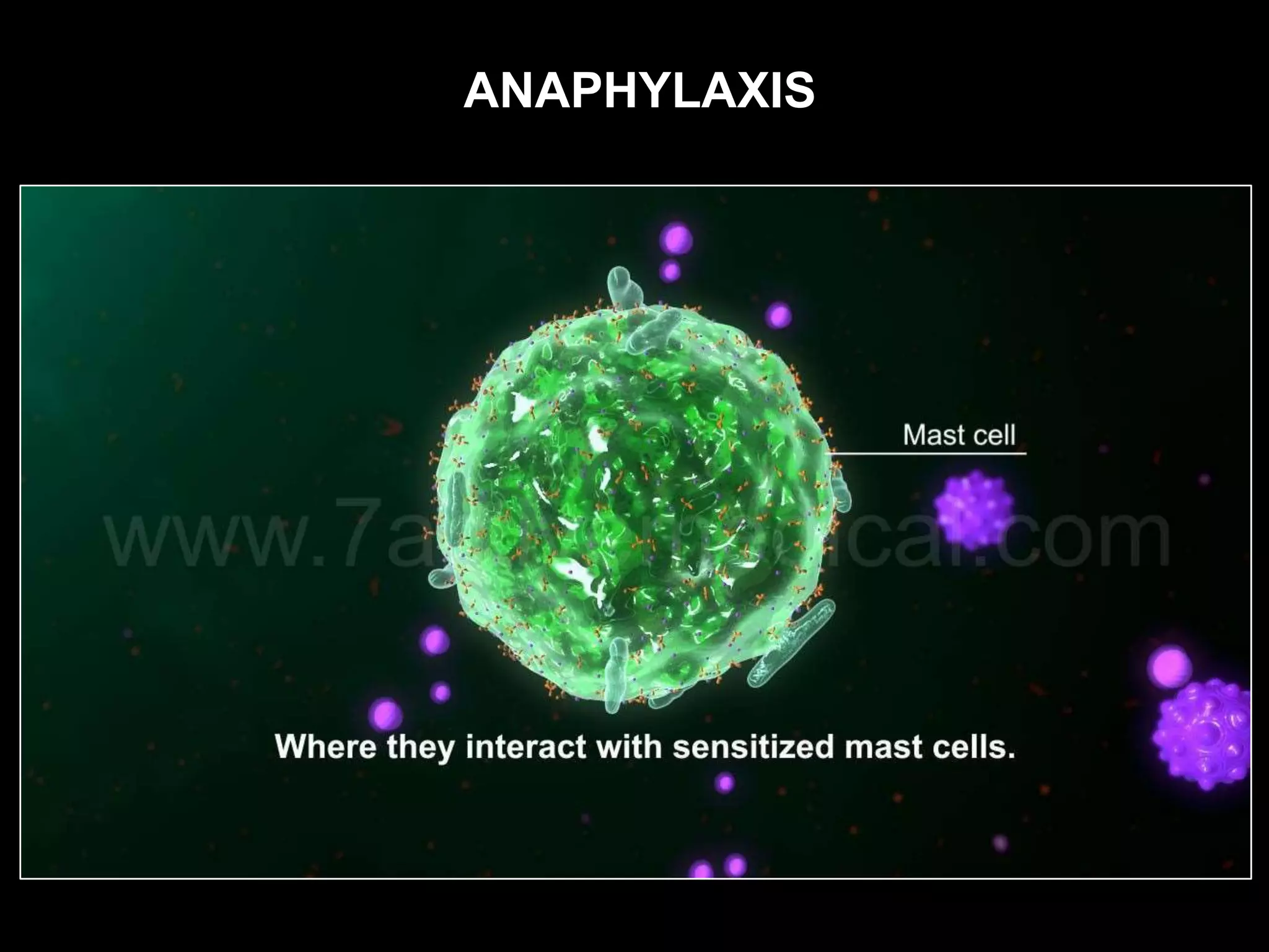 ANAPHYLAXIS
 