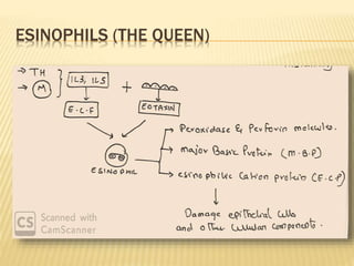 ESINOPHILS (THE QUEEN)
 