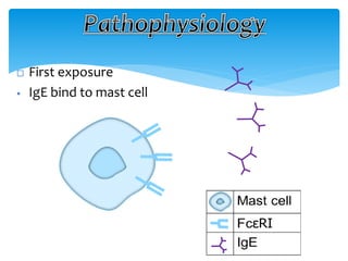  First exposure
 IgE bind to mast cell
 