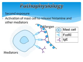  Second exposure
 Activation of mast cell to release histamine and
other mediators
Mediators
Allergen
 