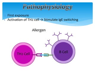  First exposure
 Activation of TH2 cell → Stimulate IgE switiching
Allergen
TH2 Cell
B Cell
 