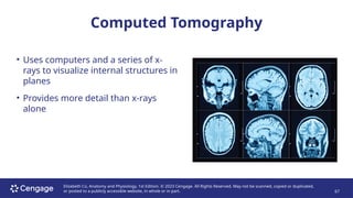 ANATOMY AND PHYSIOLOGY LECTURE CHAPTER 2.pptx