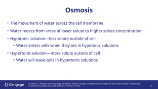 ANATOMY AND PHYSIOLOGY LECTURE CHAPTER 4 | PPTX