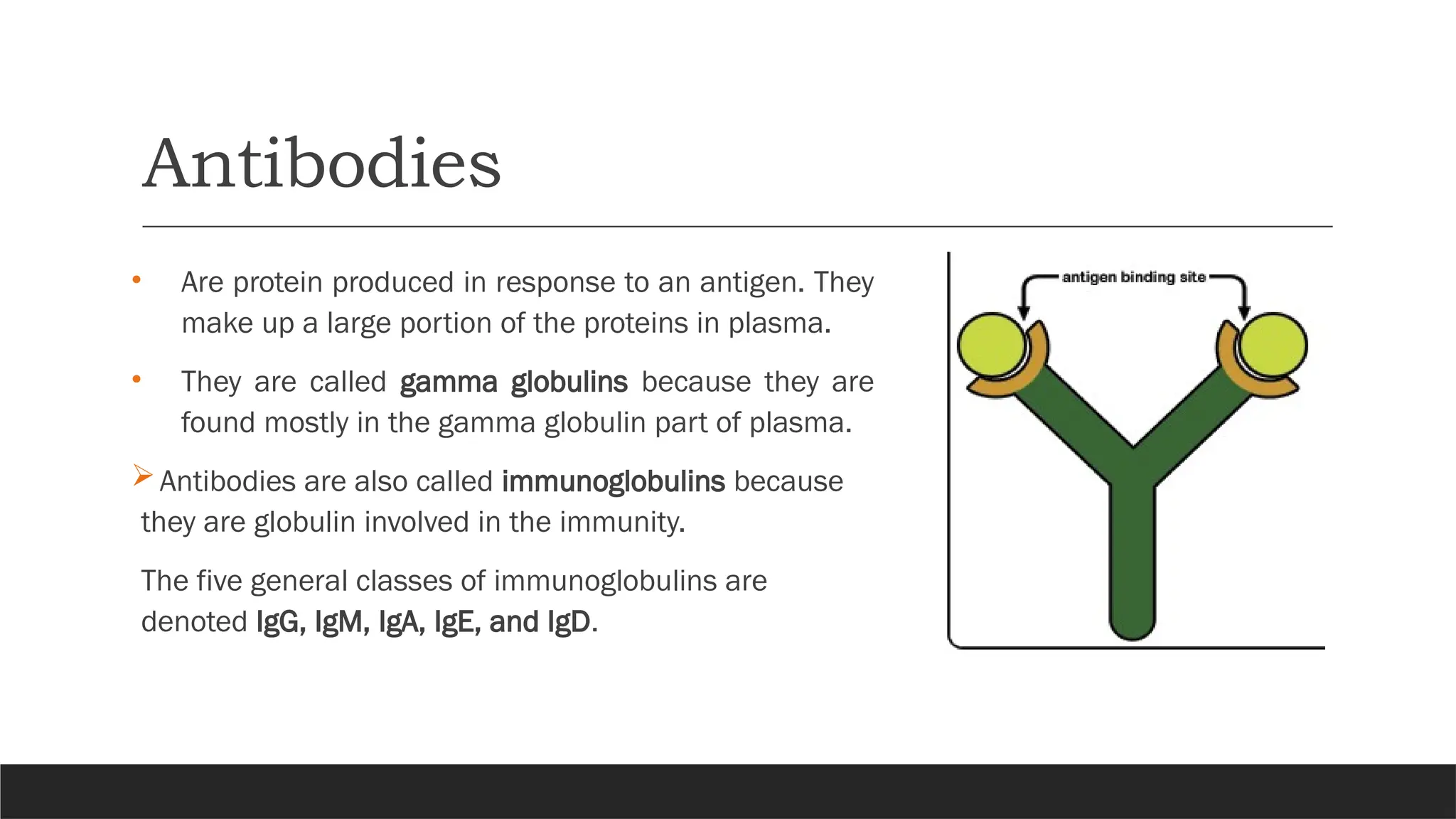 Antibodies
• Are protein produced in response to an antigen. They
make up a large portion of the proteins in plasma.
• They are called gamma globulins because they are
found mostly in the gamma globulin part of plasma.
Antibodies are also called immunoglobulins because
they are globulin involved in the immunity.
The five general classes of immunoglobulins are
denoted IgG, IgM, IgA, IgE, and IgD.
 