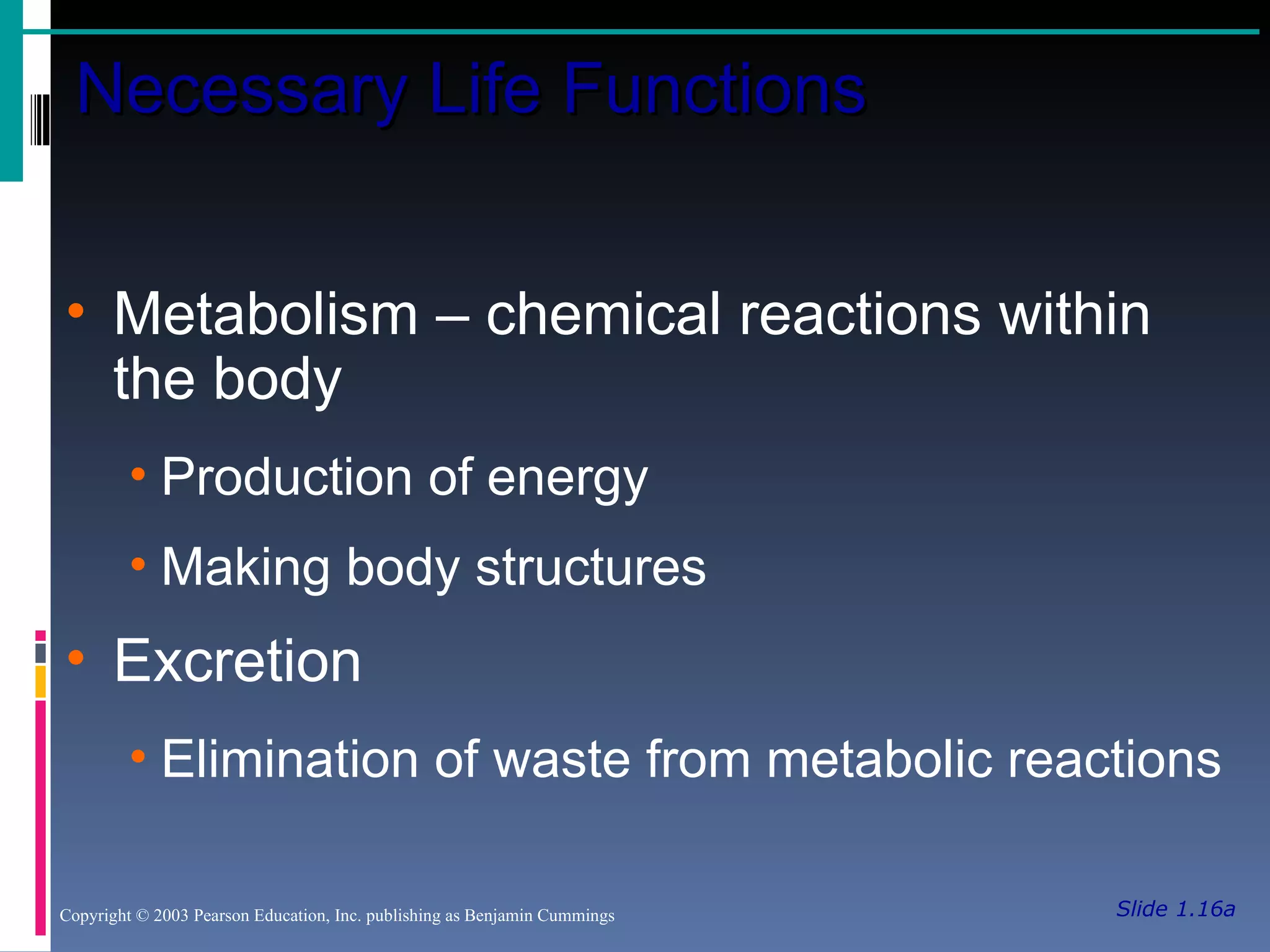 Slide 1.16a Necessary Life Functions Copyright © 2003 Pearson Education, Inc. publishing as Benjamin Cummings Metabolism – chemical reactions within the body Production of energy Making body structures Excretion Elimination of waste from metabolic reactions 