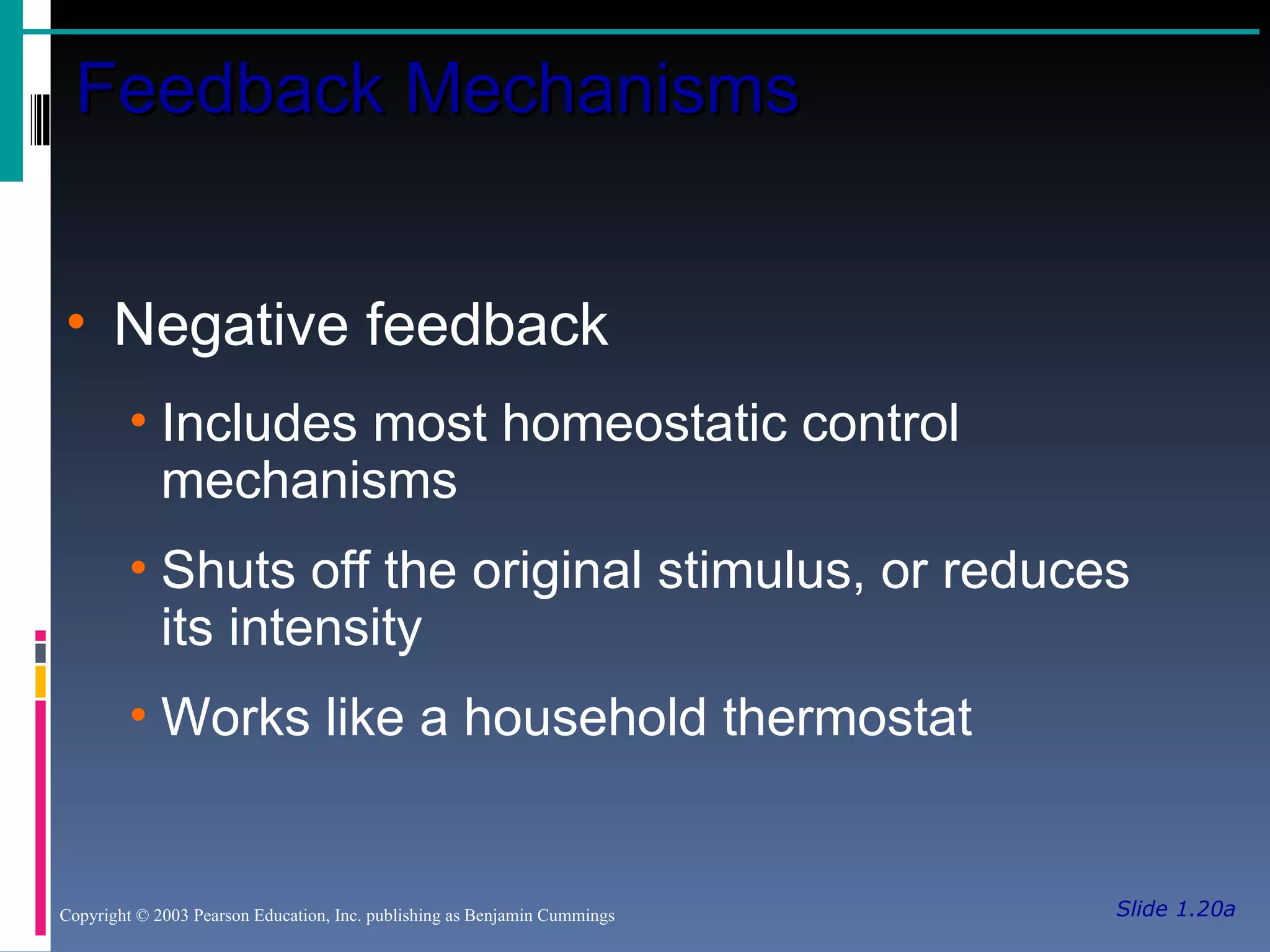 Slide 1.20a Feedback Mechanisms Copyright © 2003 Pearson Education, Inc. publishing as Benjamin Cummings Negative feedback Includes most homeostatic control mechanisms Shuts off the original stimulus, or reduces its intensity Works like a household thermostat 