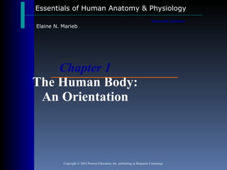 Chapter 1 The Human Body: An Orientation Essentials of Human Anatomy & Physiology Copyright © 2003 Pearson Education, Inc. publishing as Benjamin Cummings Seventh Edition Elaine N. Marieb 