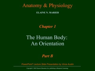 Chapter 1 The Human Body:  An Orientation Part B 